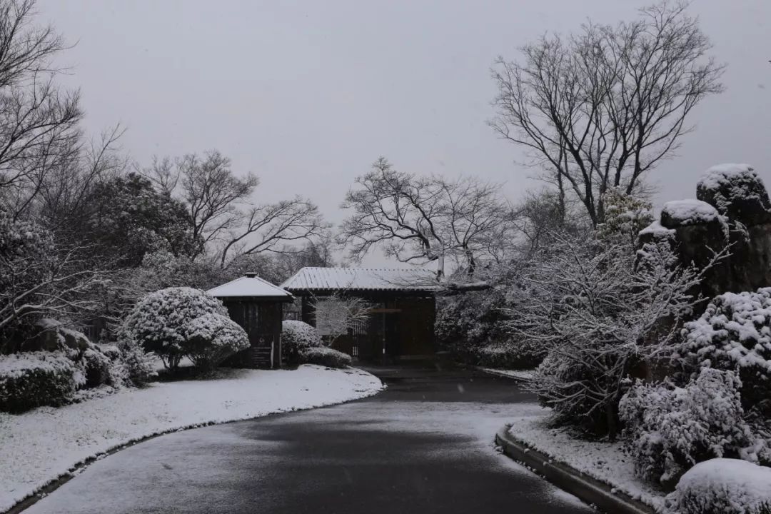 苏州大阳山雪景图片