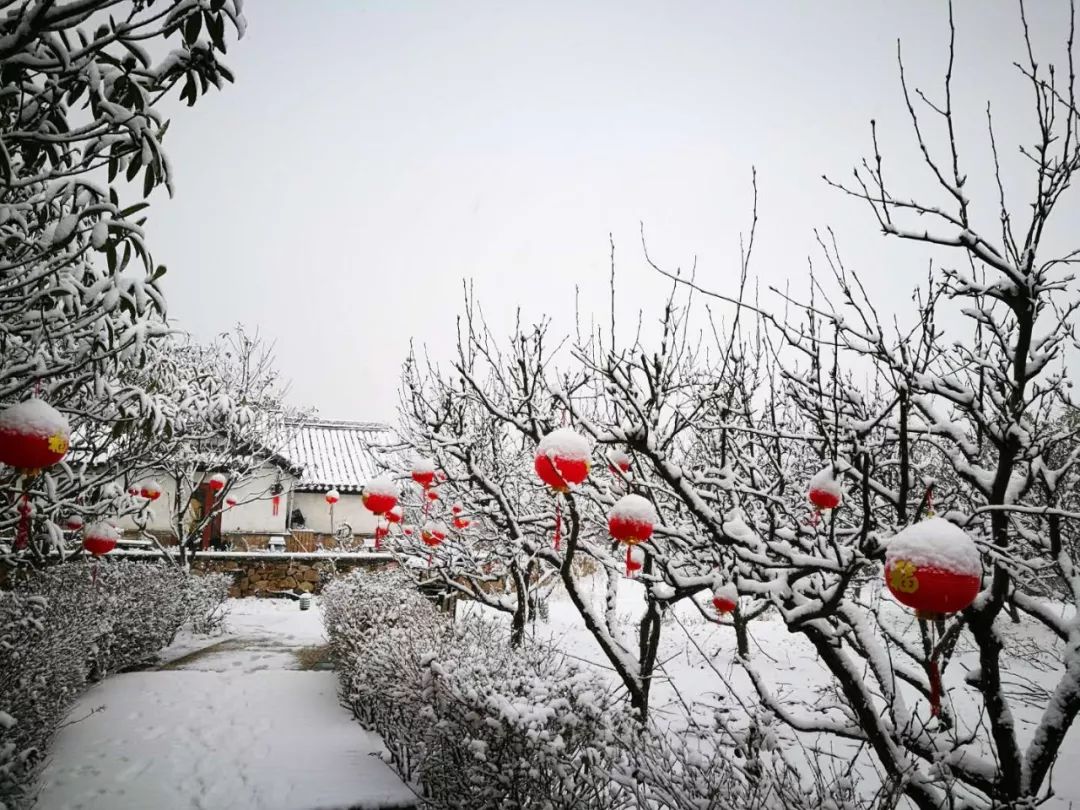 苏州大阳山雪景图片