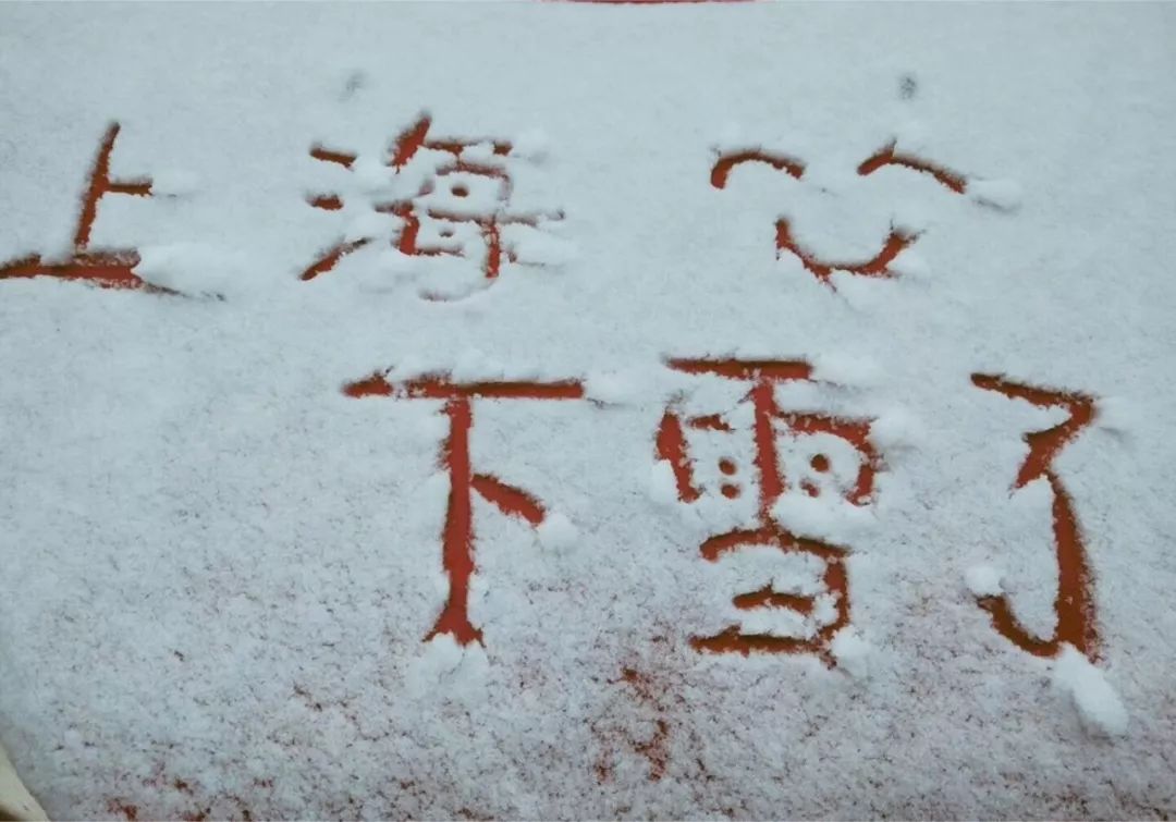 下雪了!2018年上海第一场雪美得犯规!