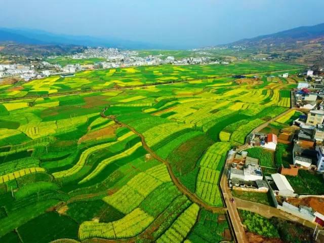 大理永平賞花地點:永平縣杉陽鎮巖洞村大理白族自治州永平縣杉陽鎮