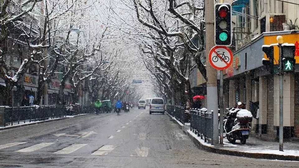 叫人激動不已 距離2008年那個銀裝素裹的 2008年1月28日上海大雪 終於