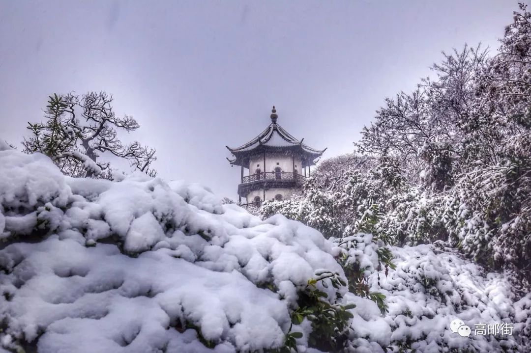 剛出爐的又一波高郵雪景美照來襲