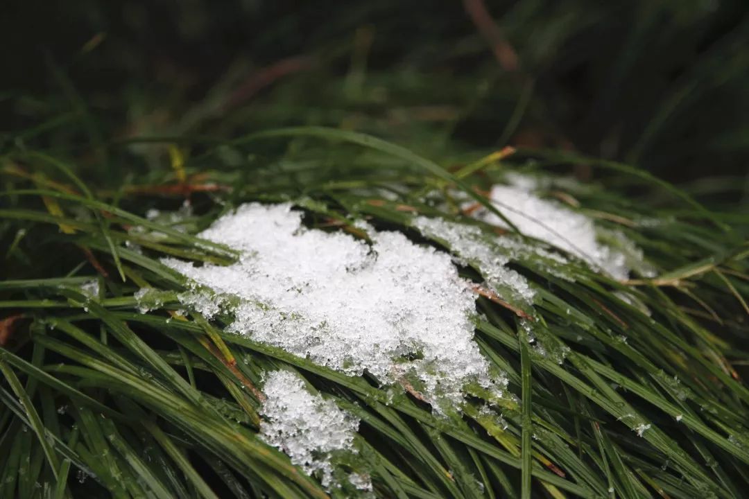 下雪啦这里有一大波华理雪景等你鉴赏