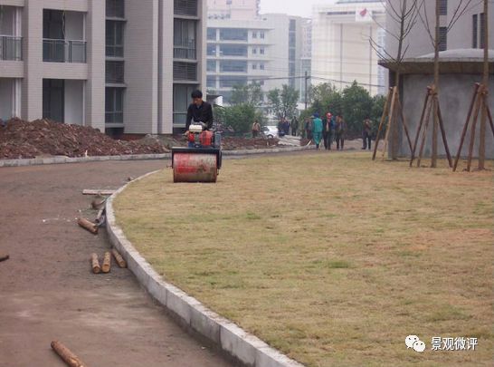 现场微地形堆坡及绿化种植工艺标准