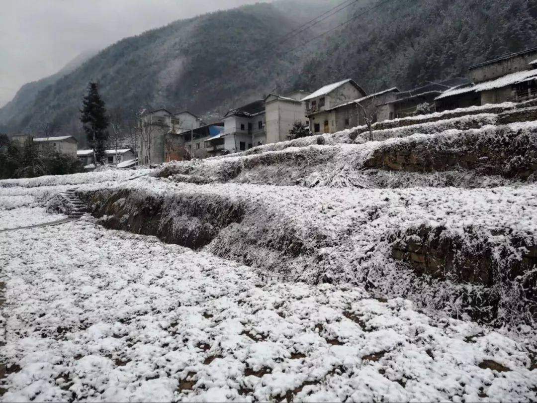 巫溪上磺镇也下雪啦!雪花落在农家瓦片上,炊烟袅袅,就简直就是好风景!