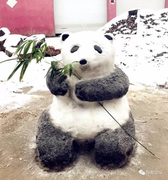 熊猫雪人图片大全图片