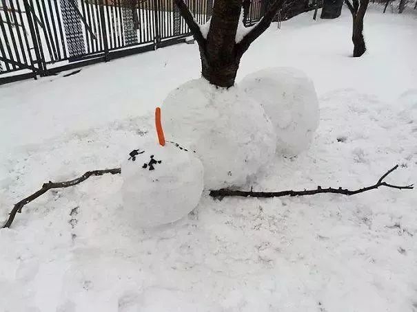 全國多地將迎大到大暴雪,看完這個才知道我20多年的雪人都堆錯了