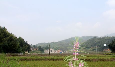 旅游 正文 可能很多人并没有去过青山桥 青山桥位于湘潭西南边陲,距