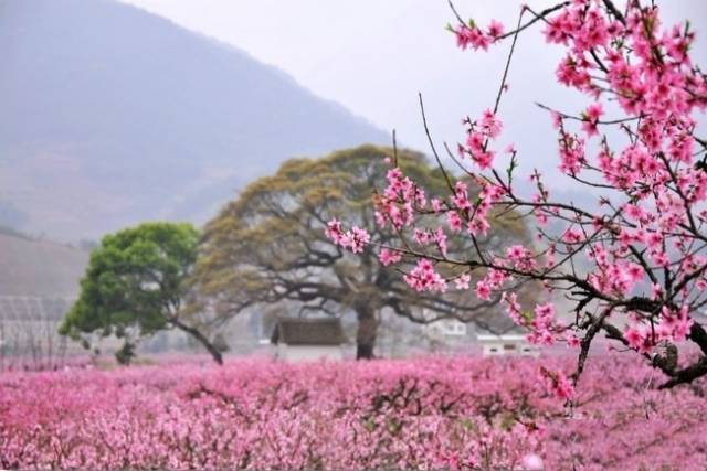 【商會閱讀】寧德