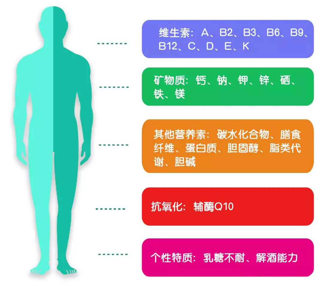 推行精準營養的基礎是確定個體對營養素需求,而這與個體營養吸收,轉運