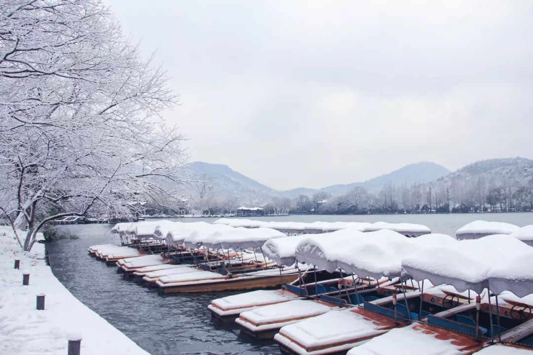 請假!我想去西湖看斷橋殘雪!