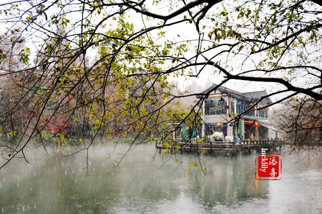 《湖心亭看雪》這雪似是自帶著霧氣,將景物都氤氳得好像帶了仙氣.