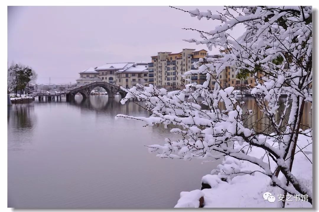 冬季在南通看雪