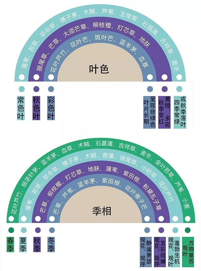 观赏草5大设计艺术效果及对应观赏草品种