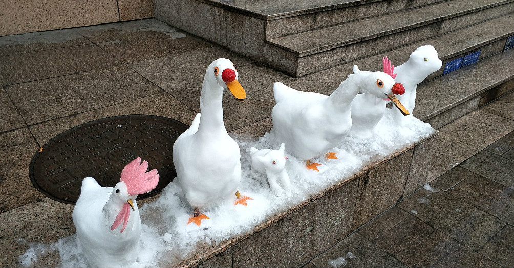 银行保安用雪雕出鸡鸭鹅狗 造型逼真惊呆路人