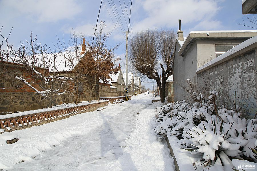 东北太远?这个冬天自驾去烟墩角看雪吧