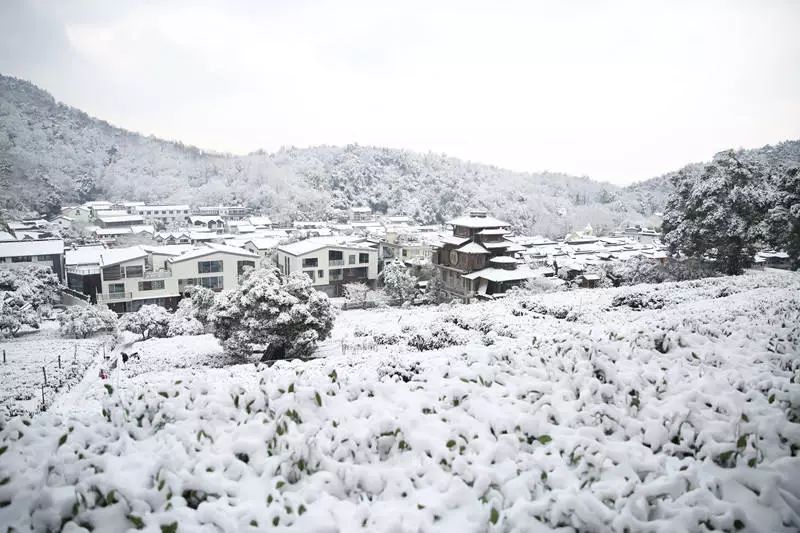 杭州下雪了,这个地方的雪景比西湖还美