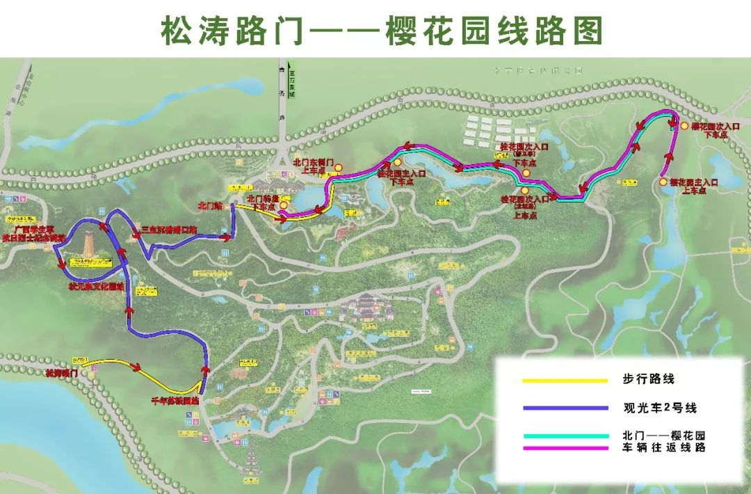 青秀山櫻花季莫負好風光青秀山賞櫻攻略奉上