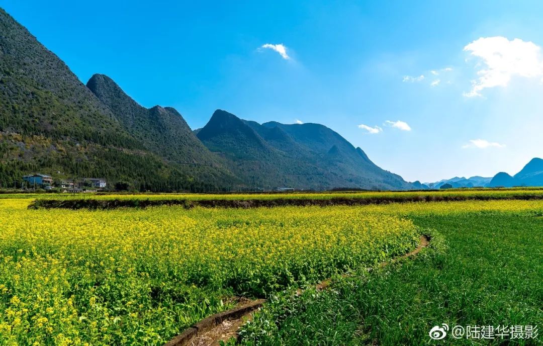 即將花開成海,這處山水秘境私藏全國最早春天,就在成都隔壁!