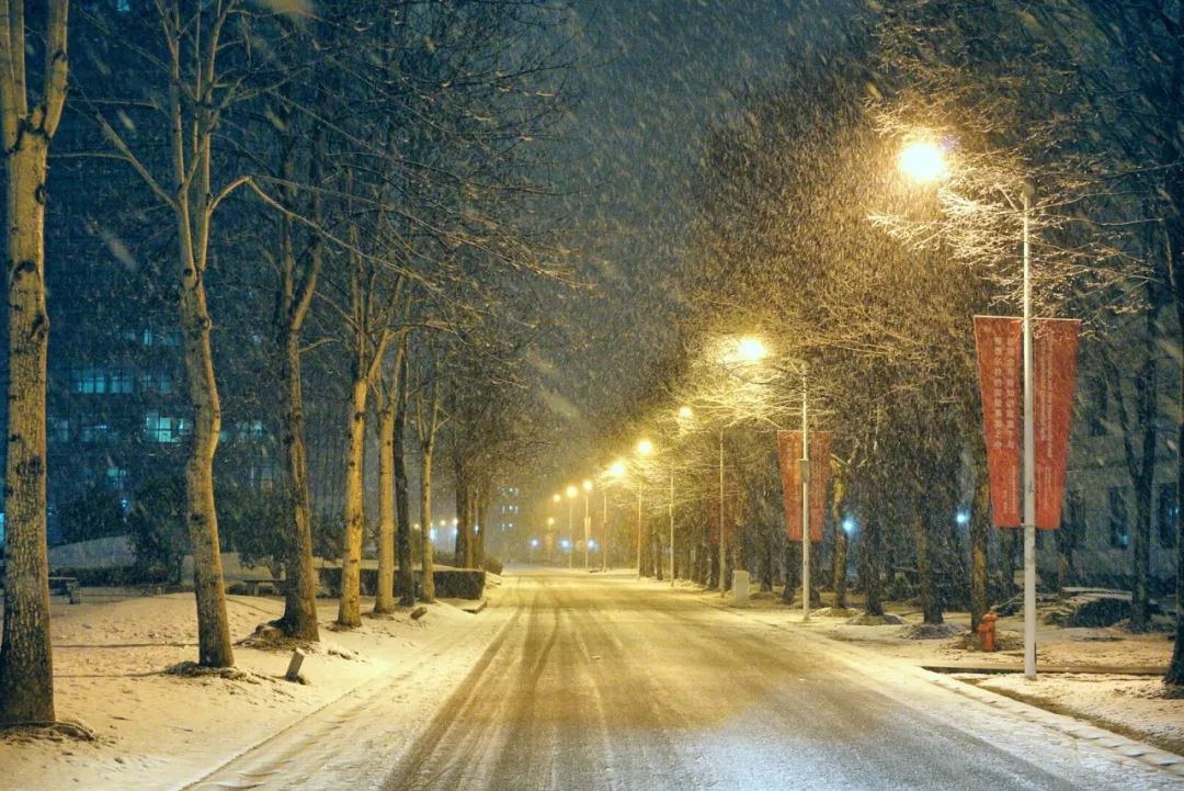 大美瑞雪降臨華東師大,網友歡呼