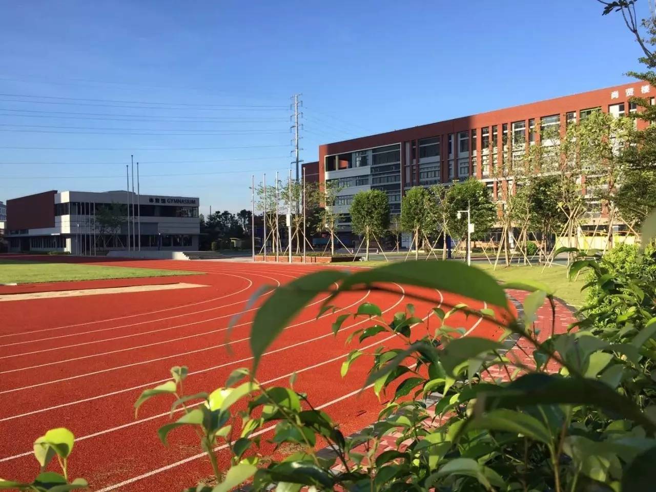 佛山南海學校網站建設_(廣東佛山南海學校有哪些)