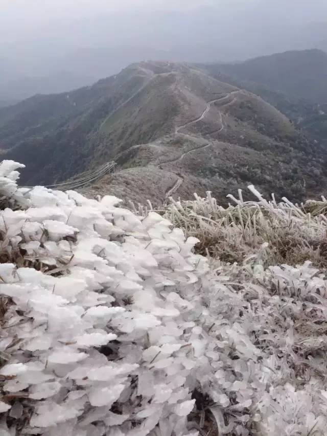 云浮大金山下雪图片