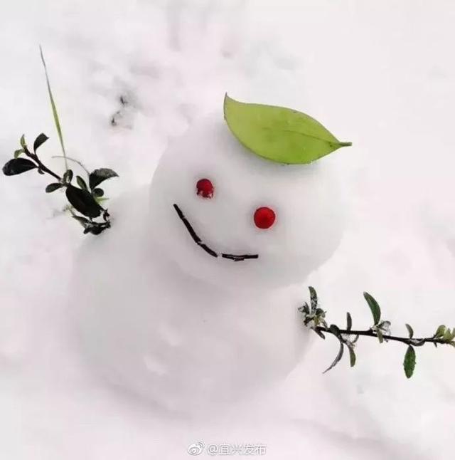 有趣的雪人造型图片