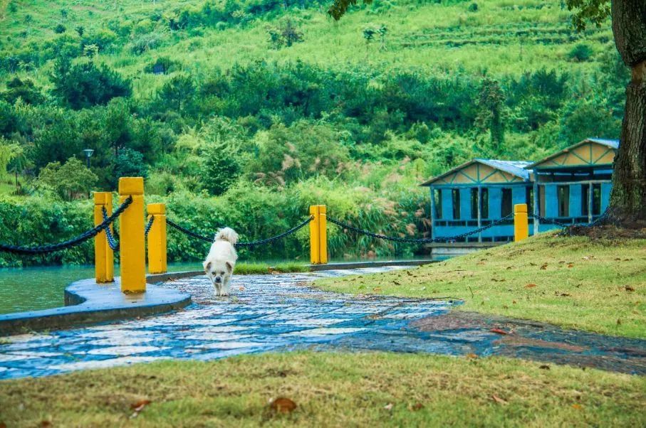 寧波綠野山居是國家aaaa級景區,寧波農業旅遊示範點,是寧波市鄉村旅遊