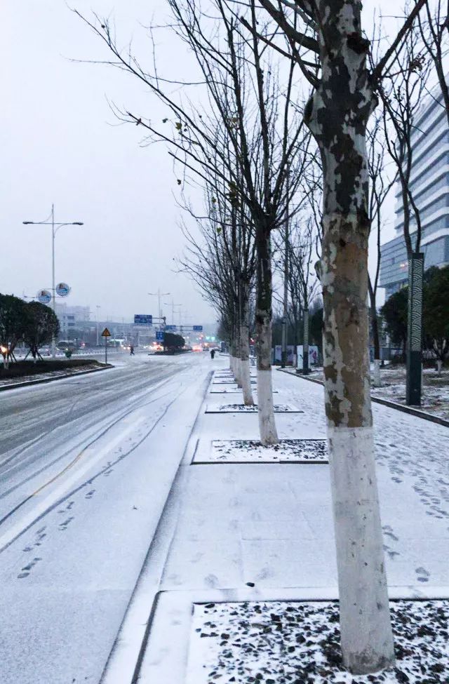 长沙下雪啦!票圈摄影大赛开始啦!