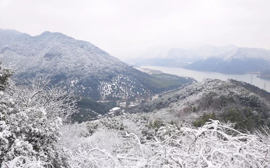 鄞州终于下雪啦下得那么深那么认真倒映出了一片银装素裹的美