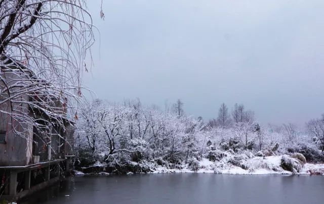 新年都未有芳华,二月初惊见草芽.白雪却嫌春色晚,故穿庭树作飞花.