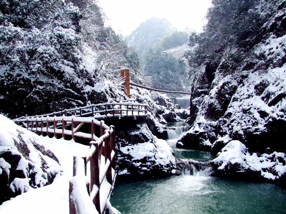 受雨雪天氣影響,自1月25日下午起,我市部分景區考慮到遊客及旅遊從業