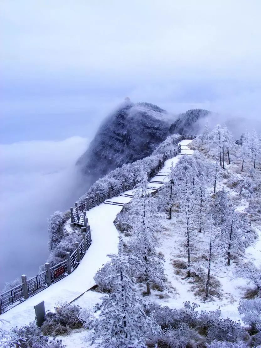 整个朋友圈都在下雪但听说这里的雪最美