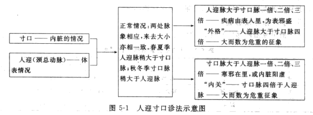 三部九候诊法图片