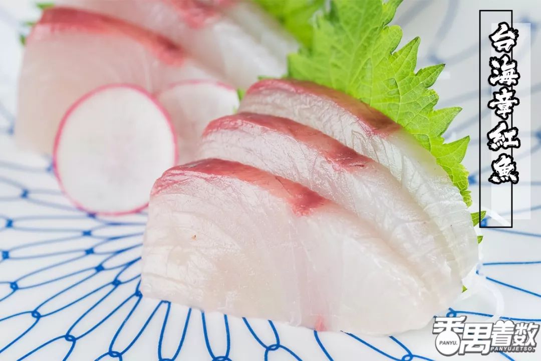 【臺海章紅魚】從臺海遠道而來嘅章紅美眉,經過放血急速冷卻再解凍等