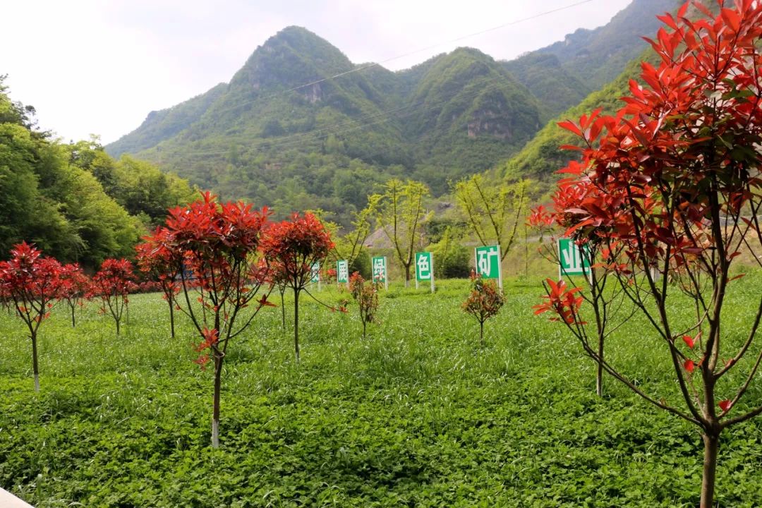 绿色矿山宣传板画图片