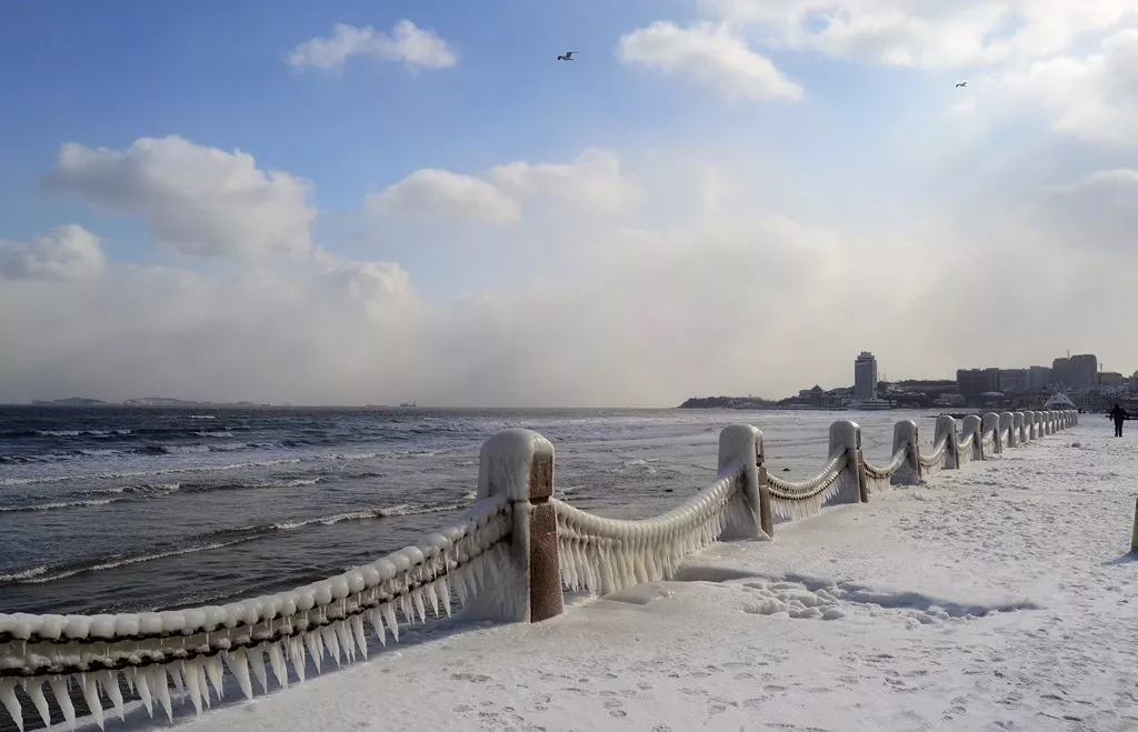 烟台暴雪图片