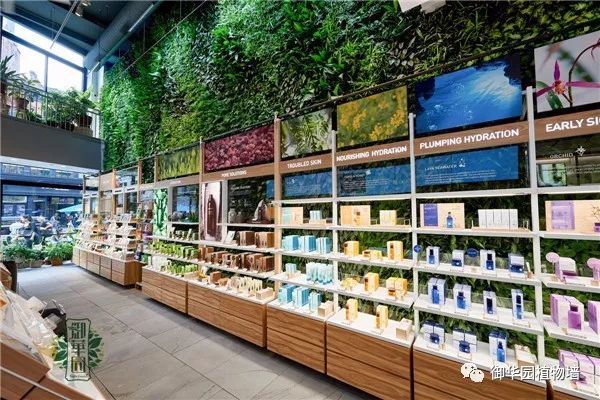 用植物牆給空間化妝,看它在化妝品展廳的應用超炫!