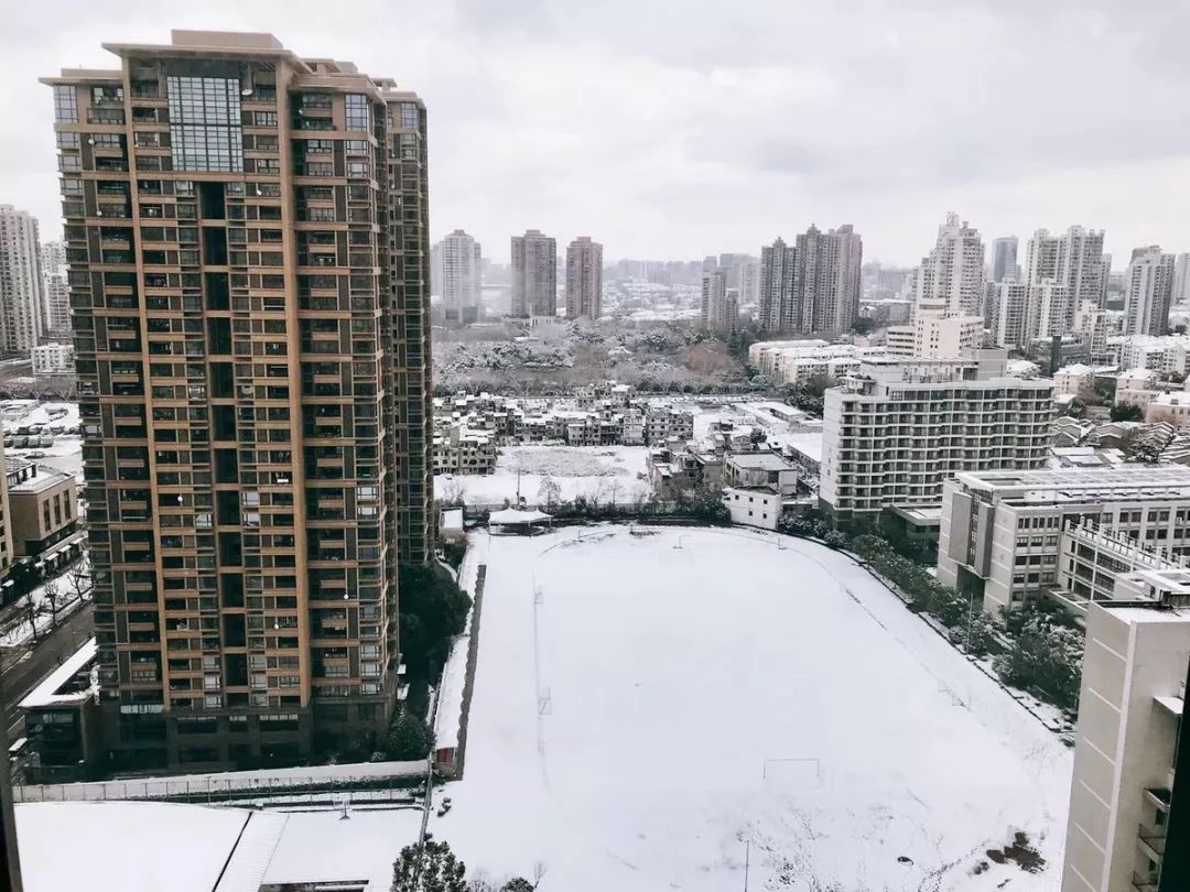 上海绝美雪景大全 上海连雪景 都是世界第一