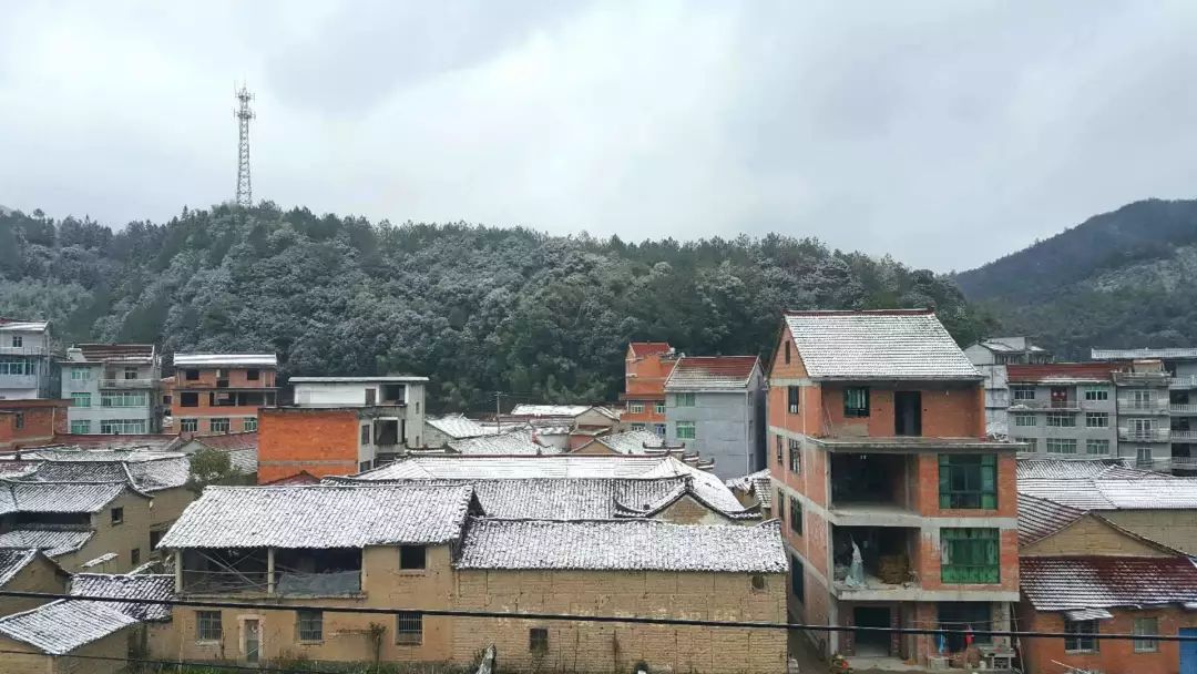 縉雲縣新建鎮鄉村雪景麗水市區的白雲山也出現了超美的霧淞佳景.