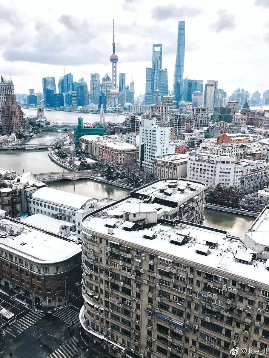 上海绝美雪景大全 上海连雪景 都是世界第一