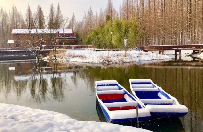 雪中的黄海国家森林公园