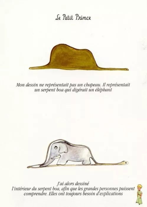 小王子画的蛇吞象帽子图片