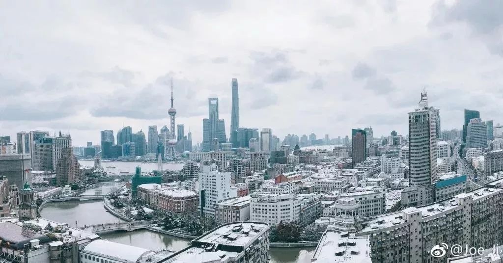 上海绝美雪景大全 上海连雪景 都是世界第一