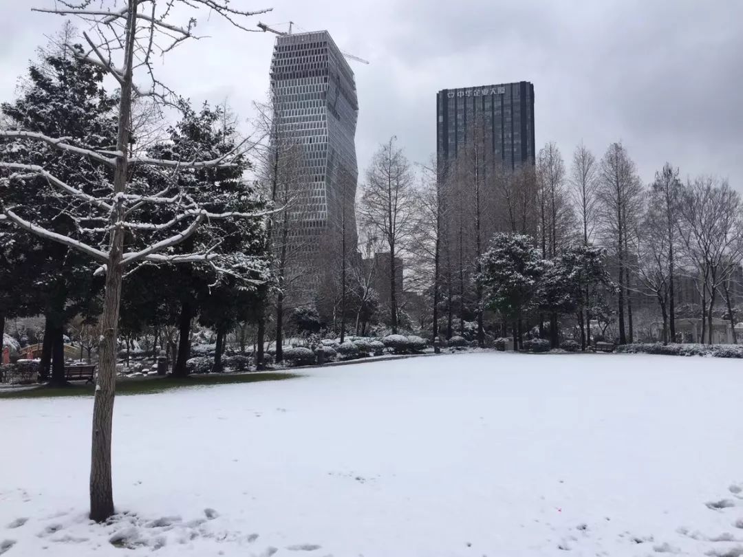 上海绝美雪景大全 上海连雪景 都是世界第一