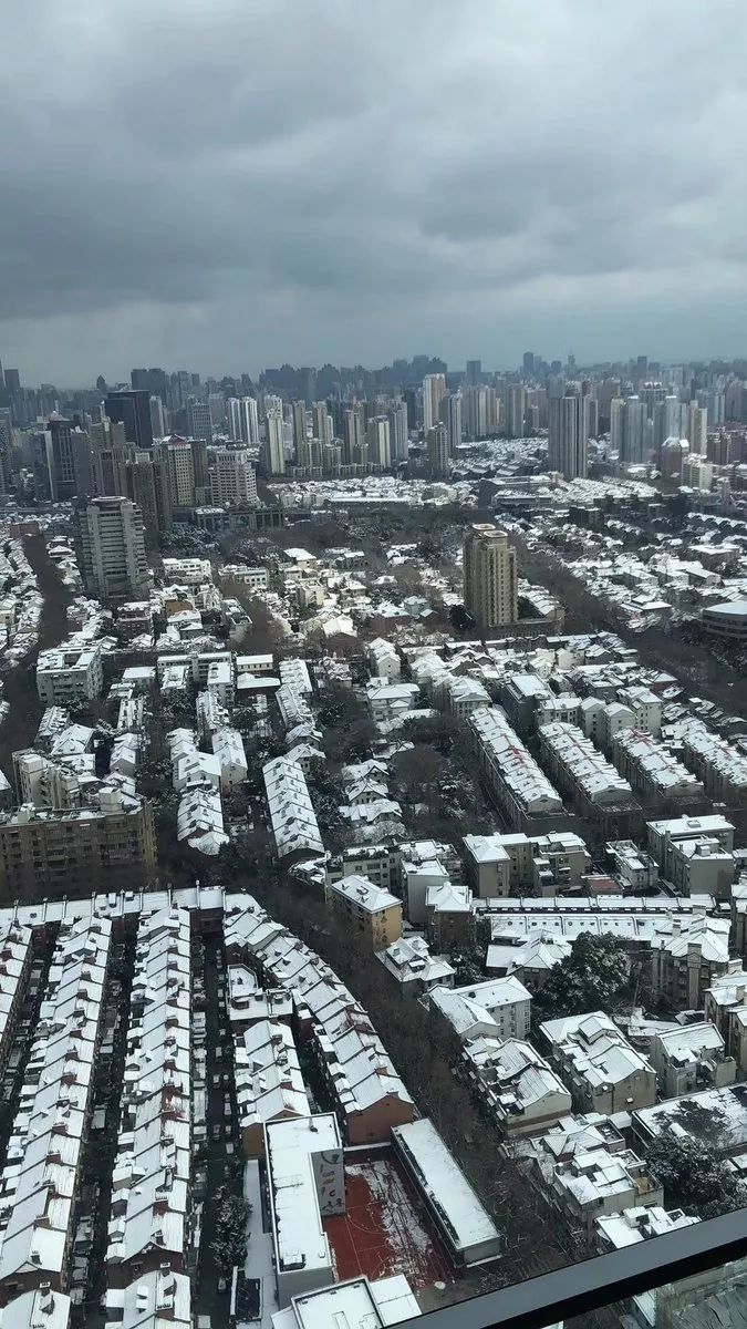 上海绝美雪景大全 上海连雪景 都是世界第一