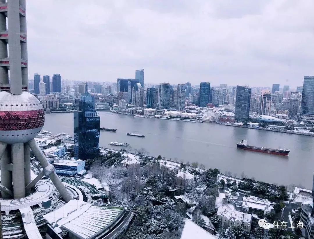 上海绝美雪景大全 上海连雪景 都是世界第一