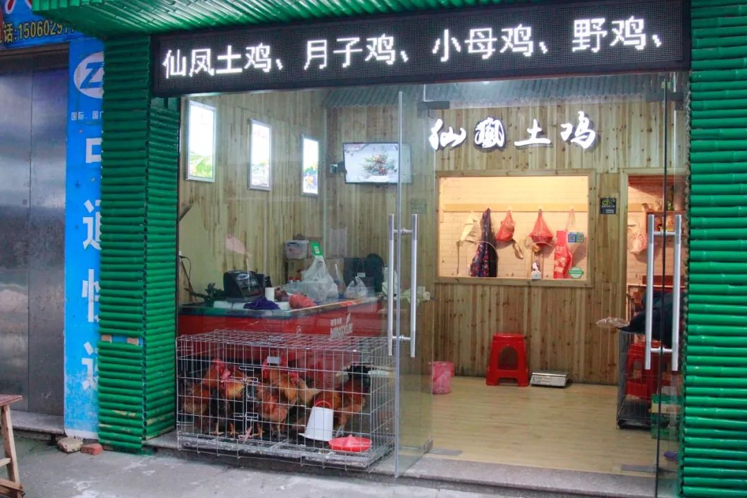 母鸡大公鸡野鸡地址:专卖店位于东市路40号仙凤土鸡店(罗汉桥菜市场)