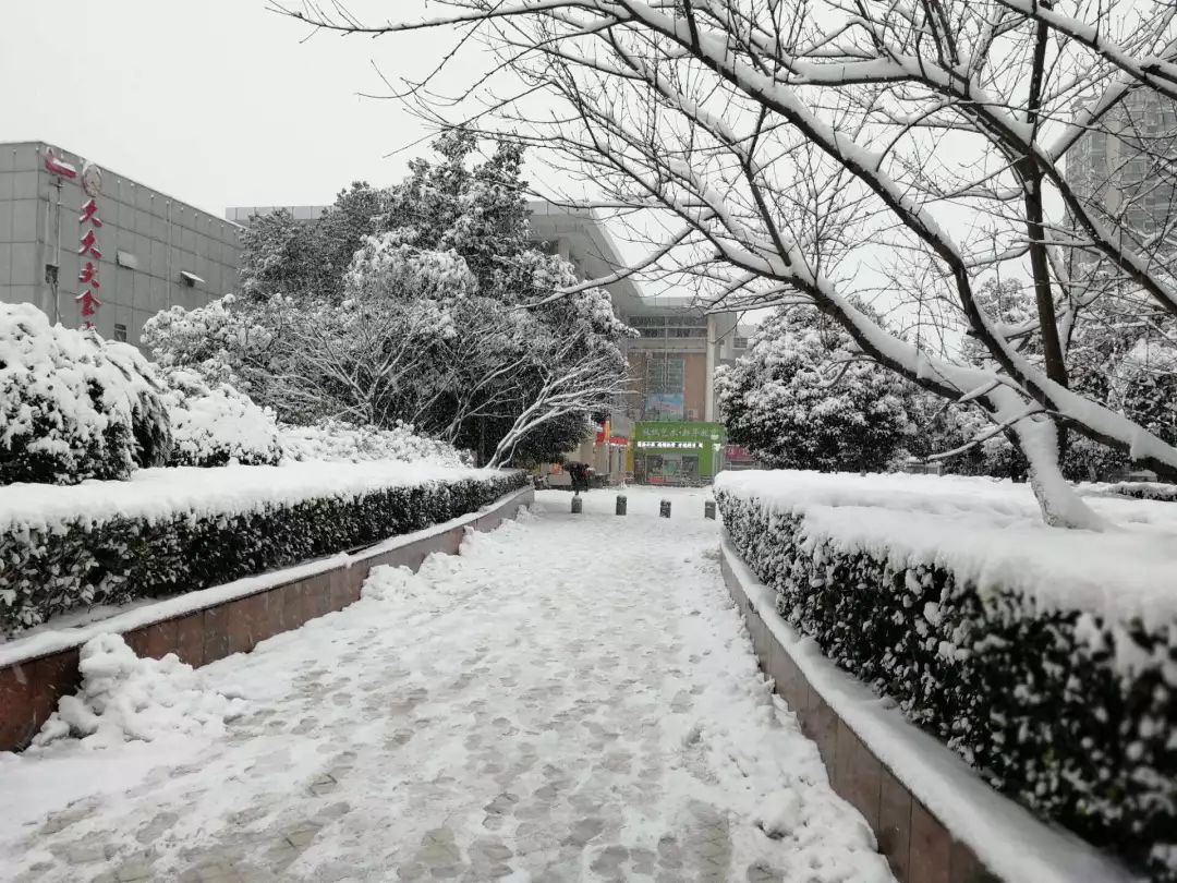 湖南衡阳下雪图片