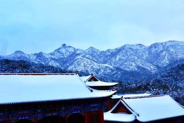 裡口山中廣福寺雪景都是那麼的禪意